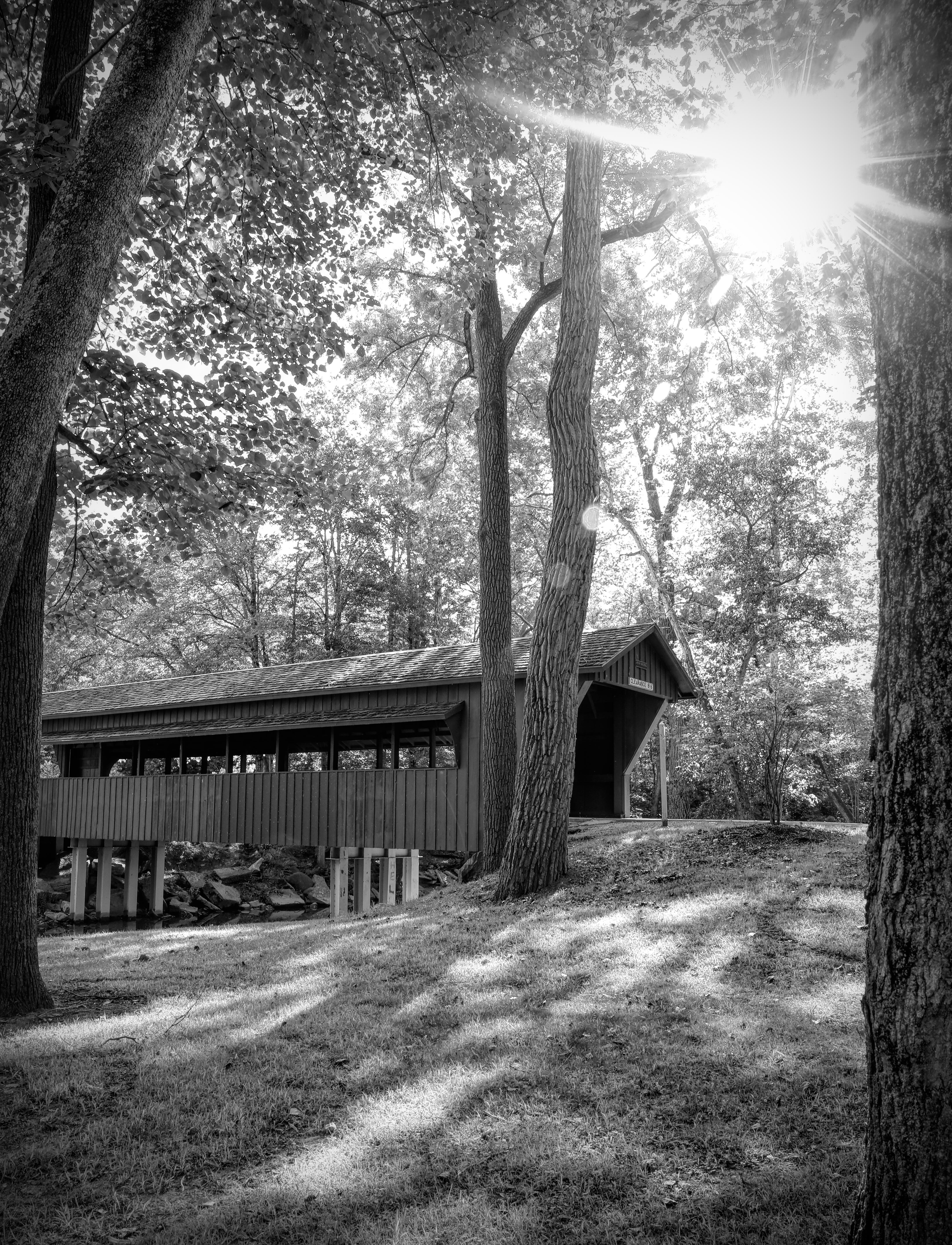 Black and white Ross Covered Bridge framed by mature trees and bright sunlight at Tawawa Park in Sidney Ohio